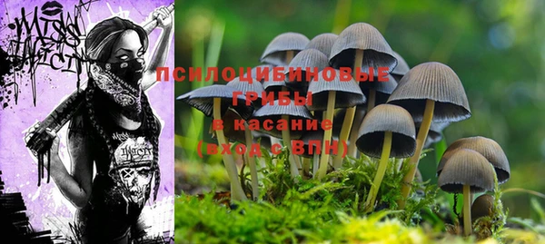 амф Балабаново