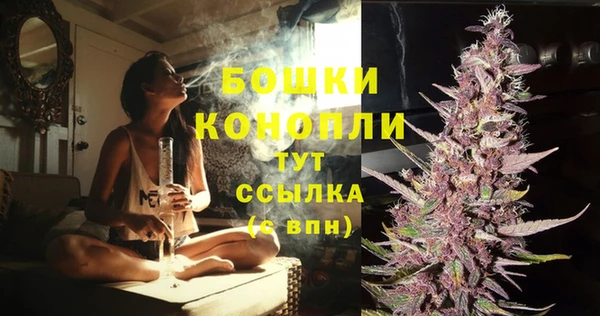 apvp Армянск