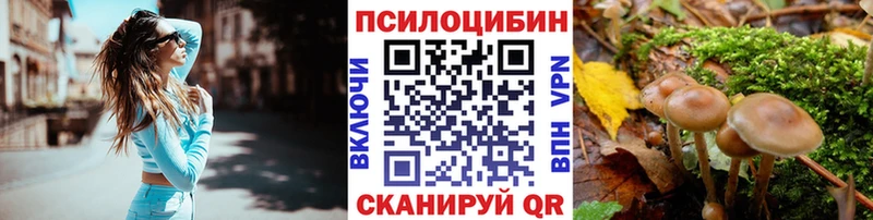 Псилоцибиновые грибы Magic Shrooms  где можно купить   Соликамск 
